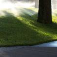 spray with shadow