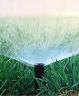 spray with grass